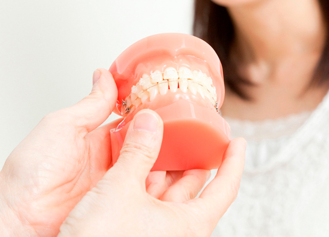 さくら Dental Office 天神_健康な歯を失わずに済むよう、歯並びだけでなく噛み合わせも重視した矯正治療をご提供